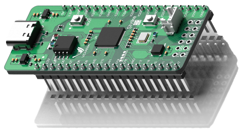 Dev Board